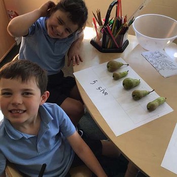 Plant yn cyfrif faint o ffrwythau maen nhw wedi'u casglu