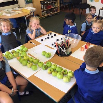 Plant o amgylch y bwrdd yn cyfri faint o ffrwythau mae nhw wedi'u casglu